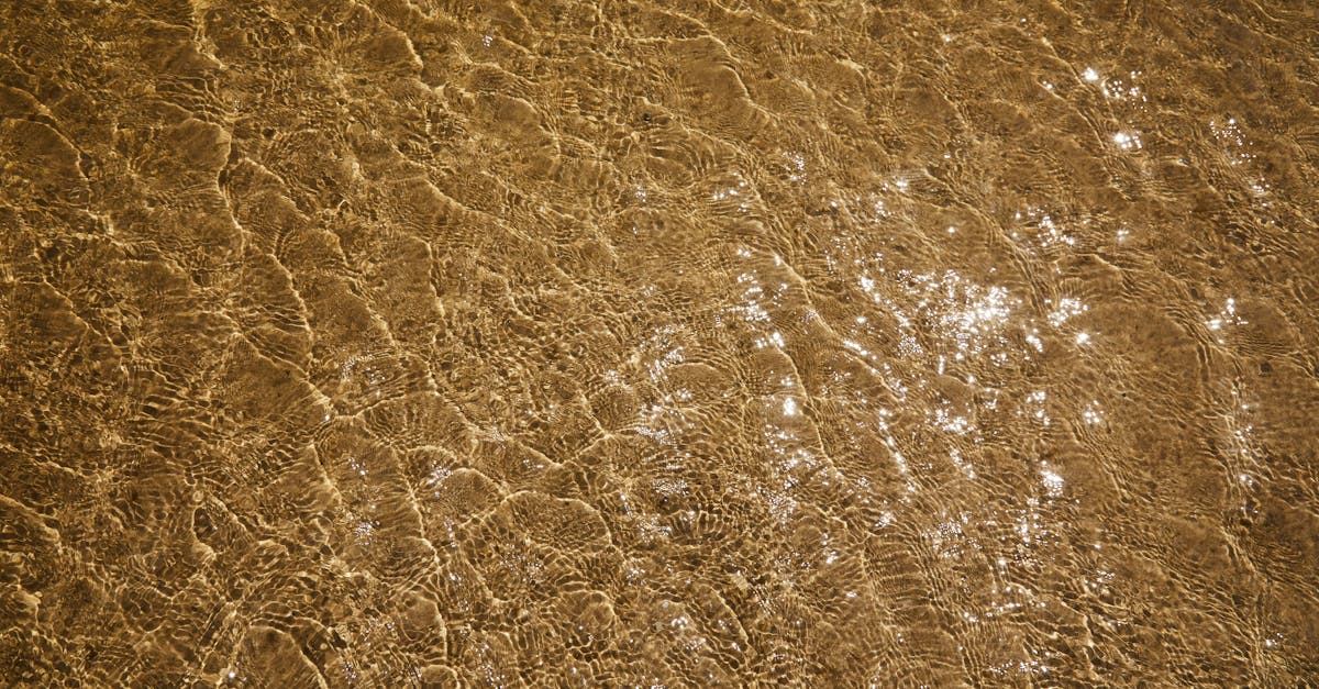 découvrez sfr, un leader des télécommunications offrant internet, mobile, télévision et solutions numériques pour tous vos besoins connectés.