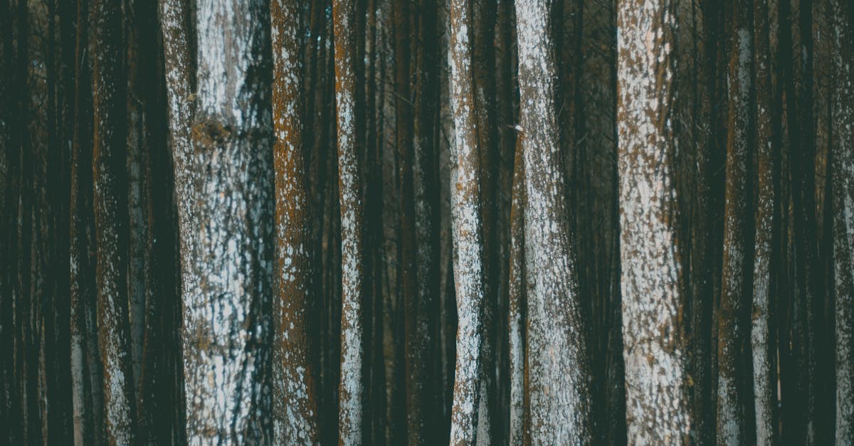 découvrez les offres et services sfr, votre fournisseur d'accès internet, mobile et télévision. profitez des dernières nouveautés et promos exclusives sfr.