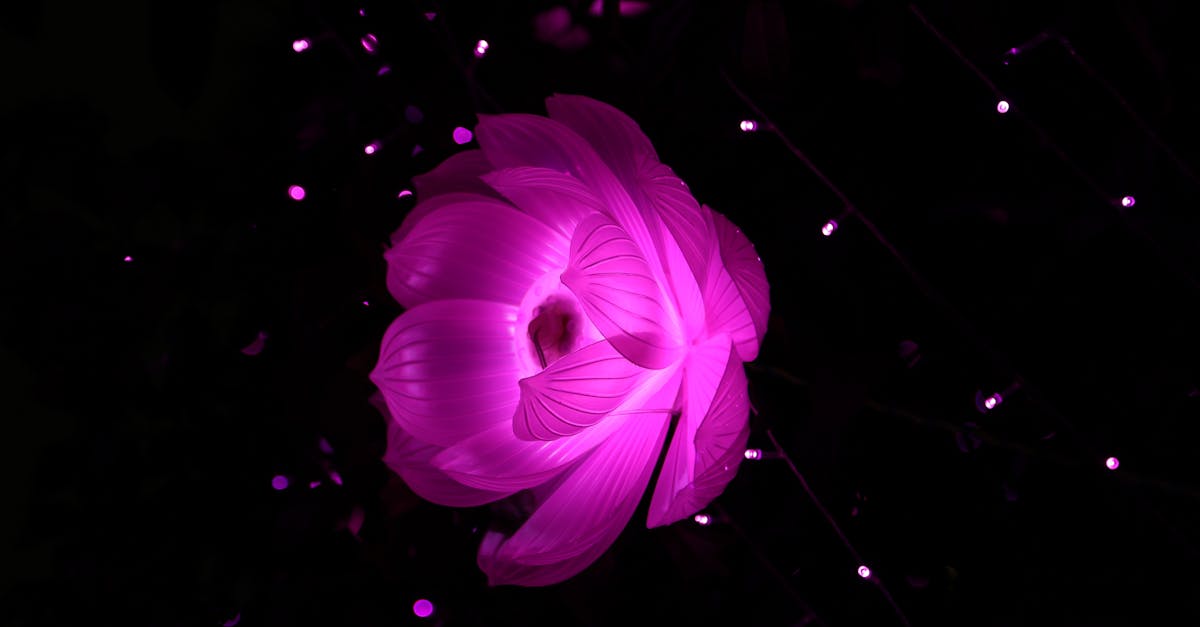 shortlyai est un outil d'écriture assistée par intelligence artificielle qui aide à générer rapidement des contenus de qualité, boostant la créativité et la productivité des écrivains.