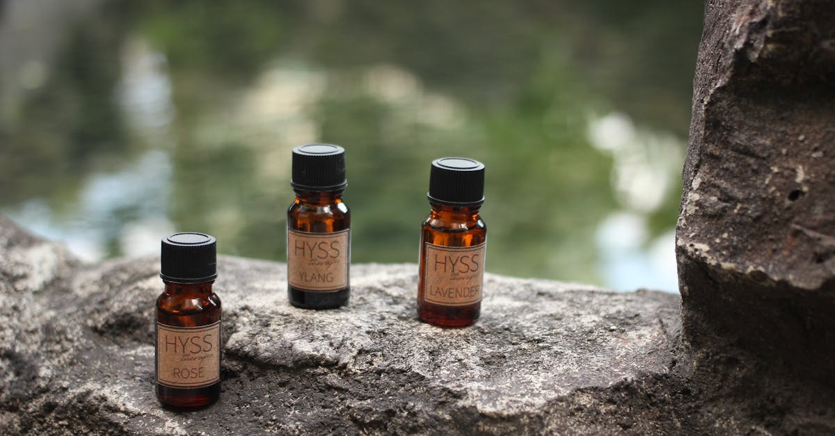 découvrez des alternatives aux sous-titres pour améliorer l'accessibilité et la compréhension de vos vidéos.