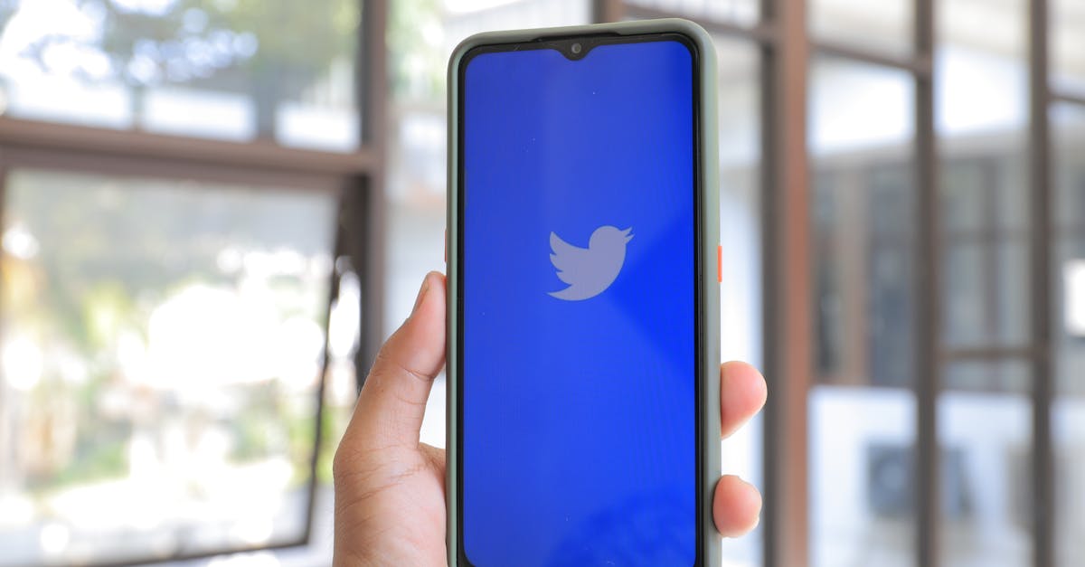 découvrez notre guide complet twitter pour maîtriser la plateforme, augmenter votre audience et optimiser votre présence en ligne.