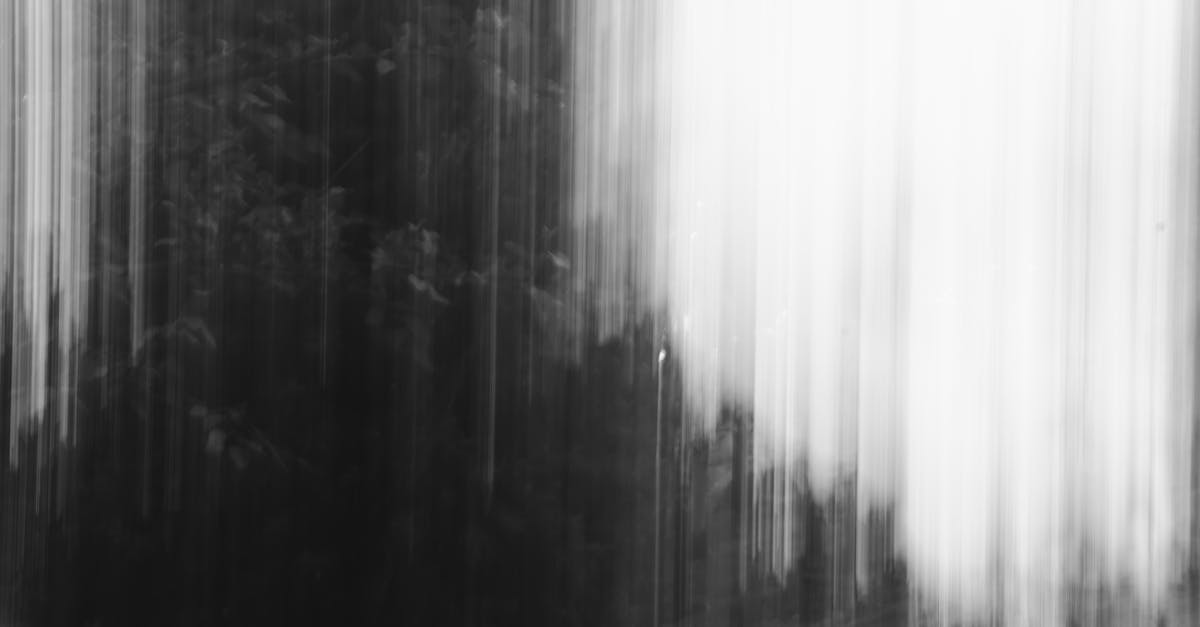 téléchargez facilement vos vidéos préférées en haute qualité grâce à notre outil simple et rapide de téléchargement de vidéos.