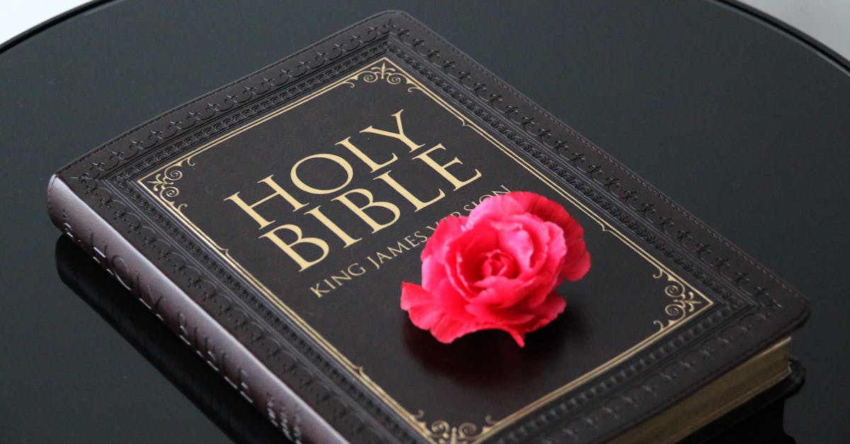 découvrez les différentes versions de windows, leurs caractéristiques et évolutions pour choisir celle qui convient le mieux à vos besoins.